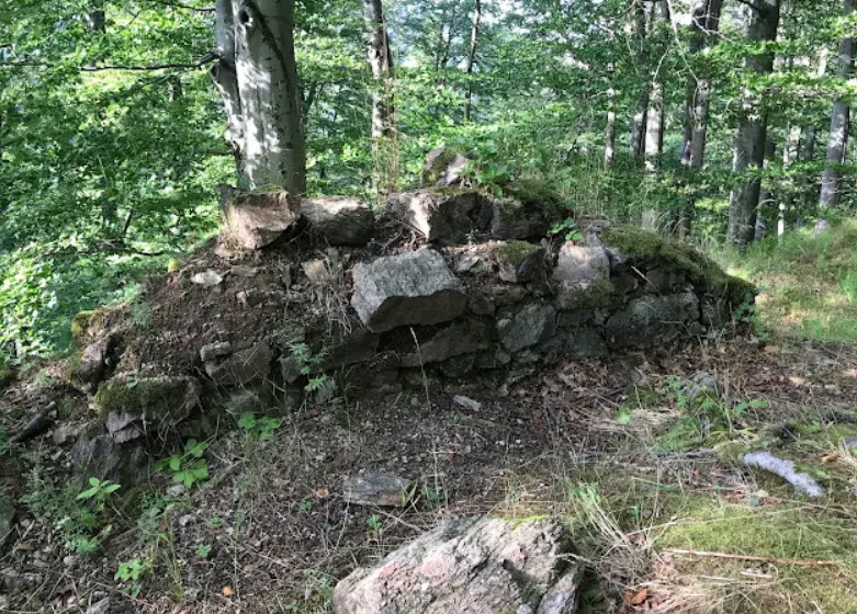 Zřícenina Hradu Nový Žeberk, Czech Republic (Czechia)